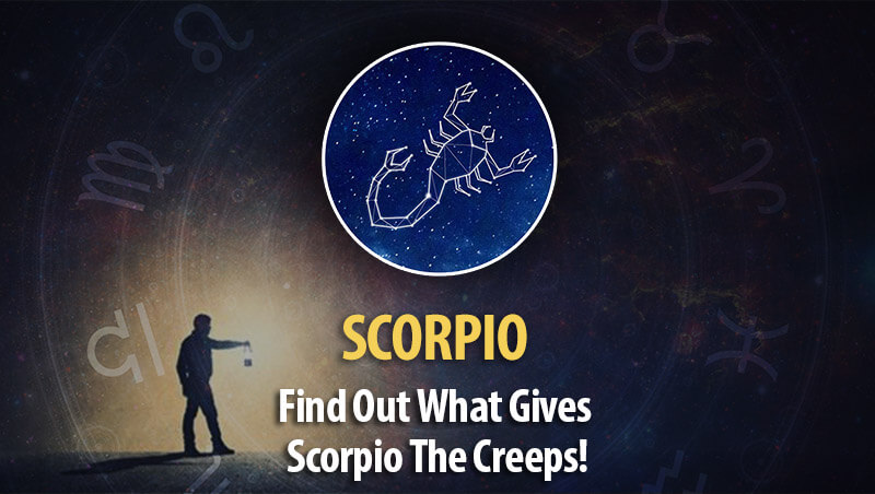 Find Out What Gives Scorpio The Creeps!