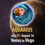 Aquarius - Venus in Virgo Horoscope
