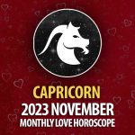 Capricorn - 2023 November Monthly Love Horoscope