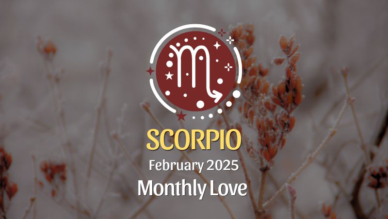 Scorpio: February 2025 Monthly Love Horoscope